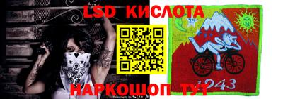 таблы Новозыбков