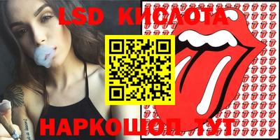 таблы Новозыбков