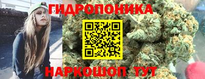 таблы Новодвинск