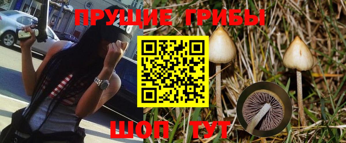 Псилоцибиновые грибы Magic Shrooms  Вход с VPN  Сердобск 